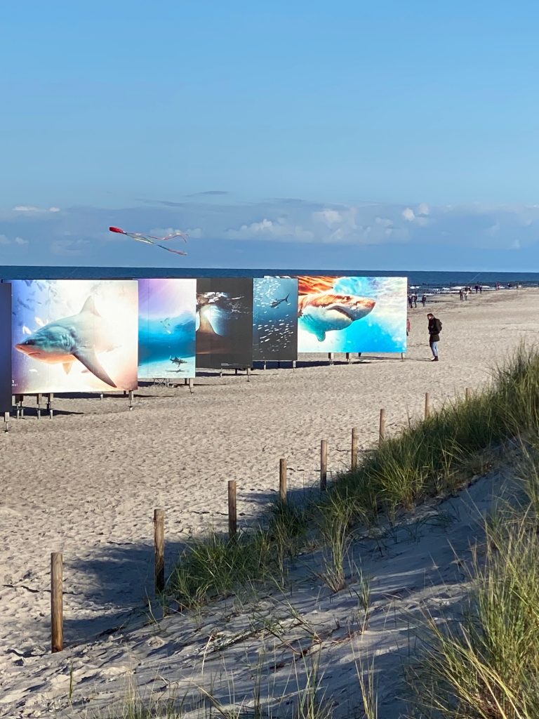 Fotokunstpfad Zingst - horizonte Festival