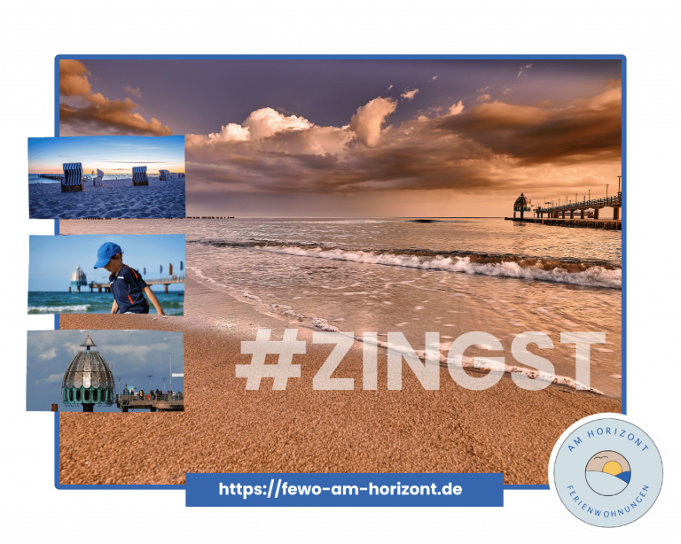 Urlaub in Zingst am Bodden – Natur erleben