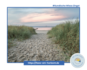 Sundische Wiesen Zingst - Ein Naturparadies zum Wandern, Radfahren und Kranichbeobachtungen