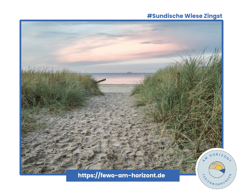 Sundische Wiesen Zingst - Ein Naturparadies zum Wandern, Radfahren und Kranichbeobachtungen