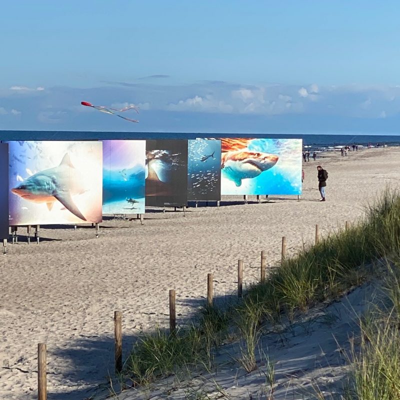 Fotokunstpfad Zingst - horizonte Festival